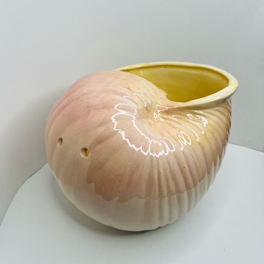 Ceramic glazed conch shell hanging basket.